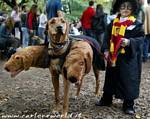 strano costume di Carnevale - Clicca per ingrandire