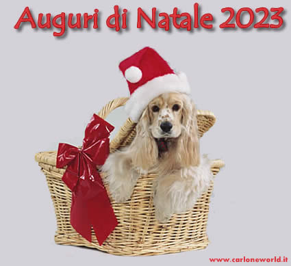 Auguri di Natale 2023 con dolce cagnolino