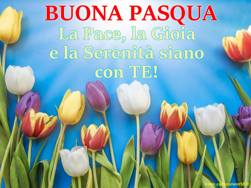 Auguri Pasqua da condividere